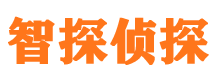 霍邱外遇出轨调查取证